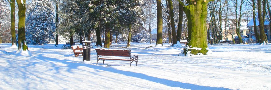 Begraafplaats onder de sneeuw in de winter van 2012
